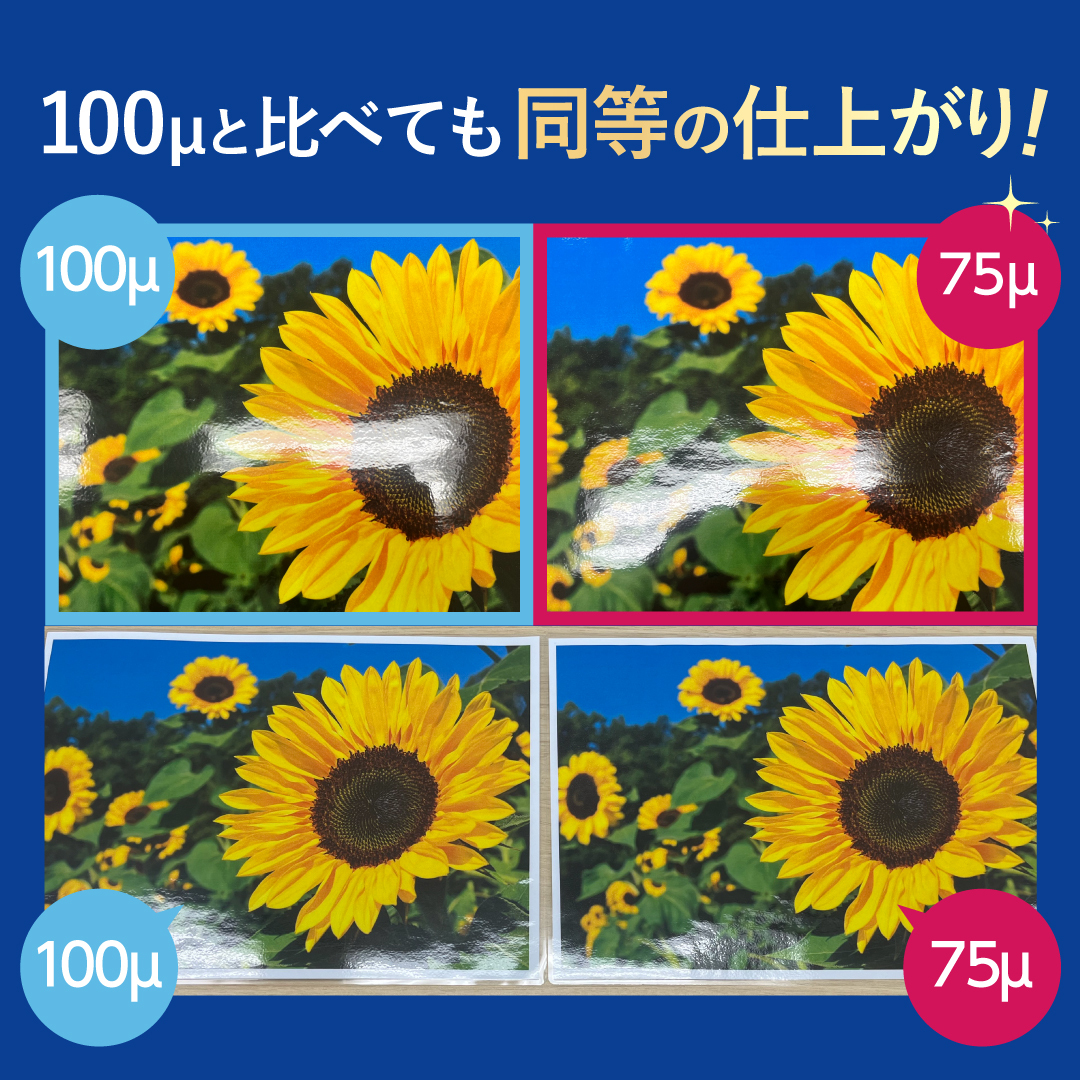 ラミネートフィルム A4サイズ（75ミクロン）100枚(A4（216×303mm） 100枚): ラミネートフィルム 販促エクスプレス  即納！販促資材が安くて早く届く