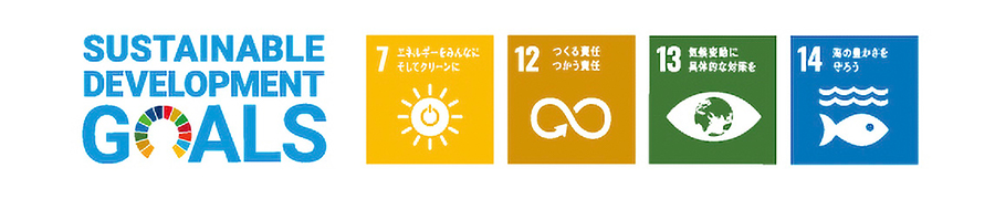 SDGs