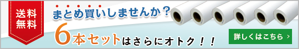 6本セットはさらにお得