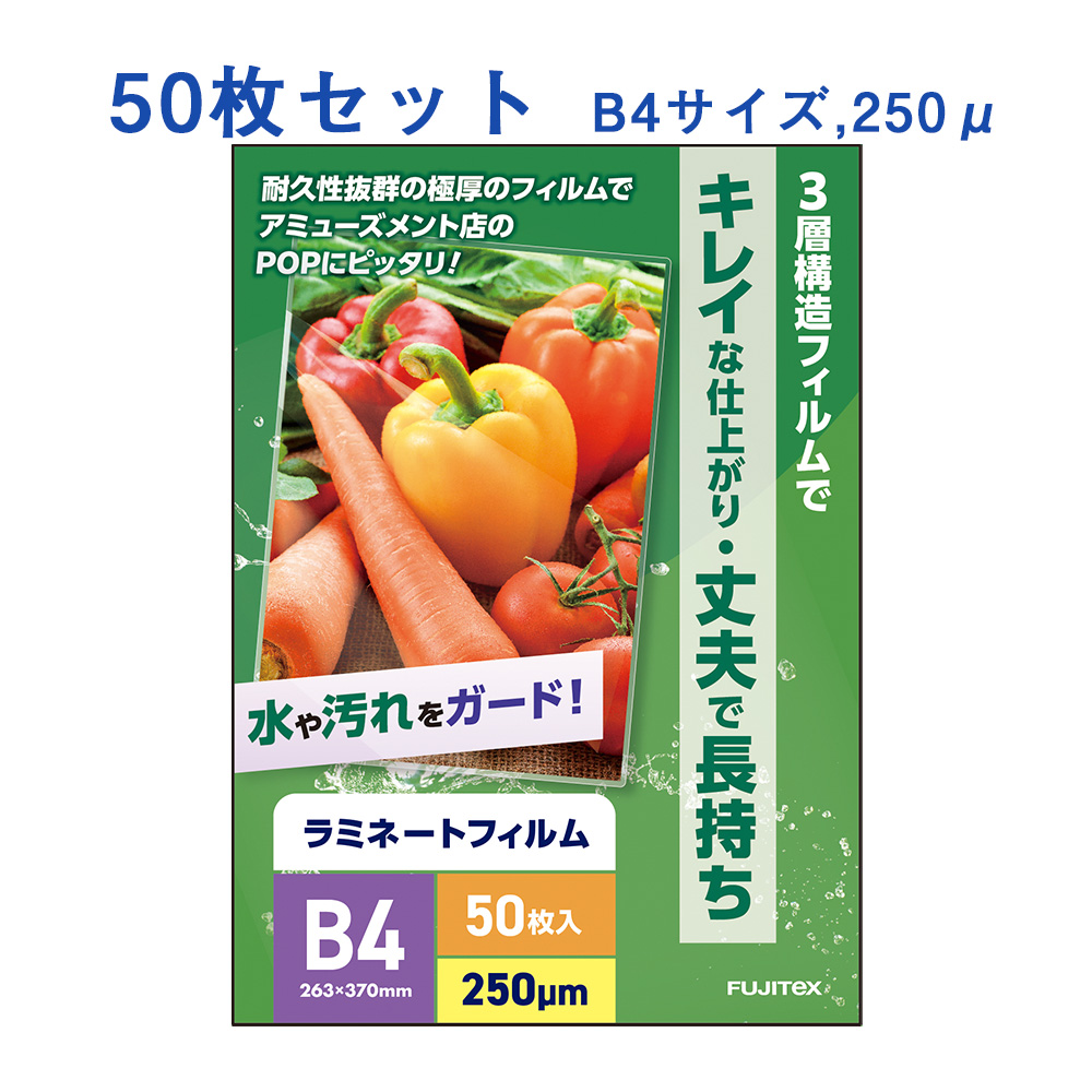 50枚入り