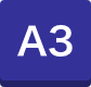 A3