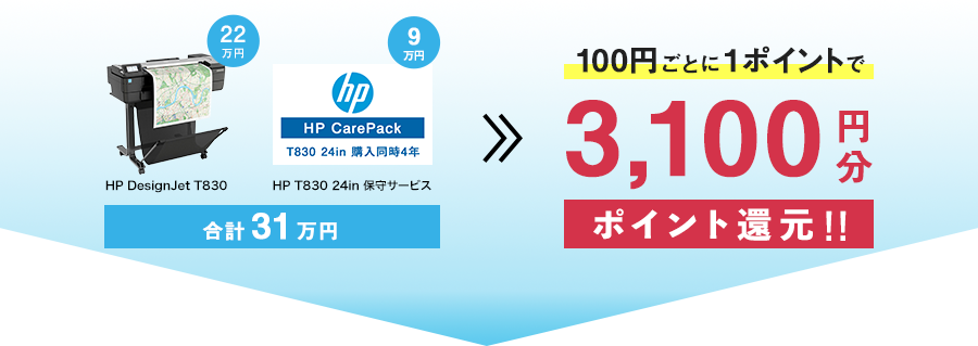 たとえば31万円で3,100円分ポイント還元！